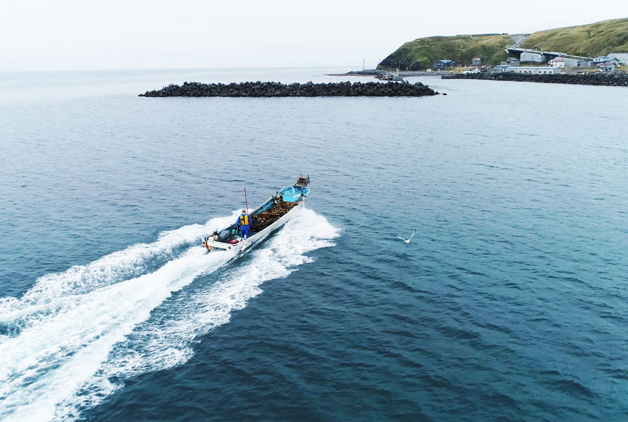 北海道礼文島昆布漁漁船ドローン空撮画像